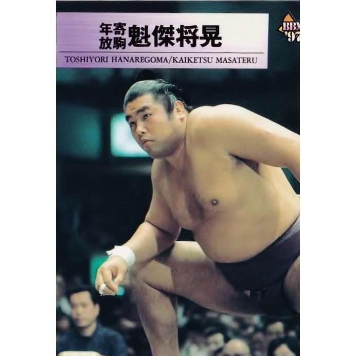 照ノ富士が3度目の優勝　大関復帰へ