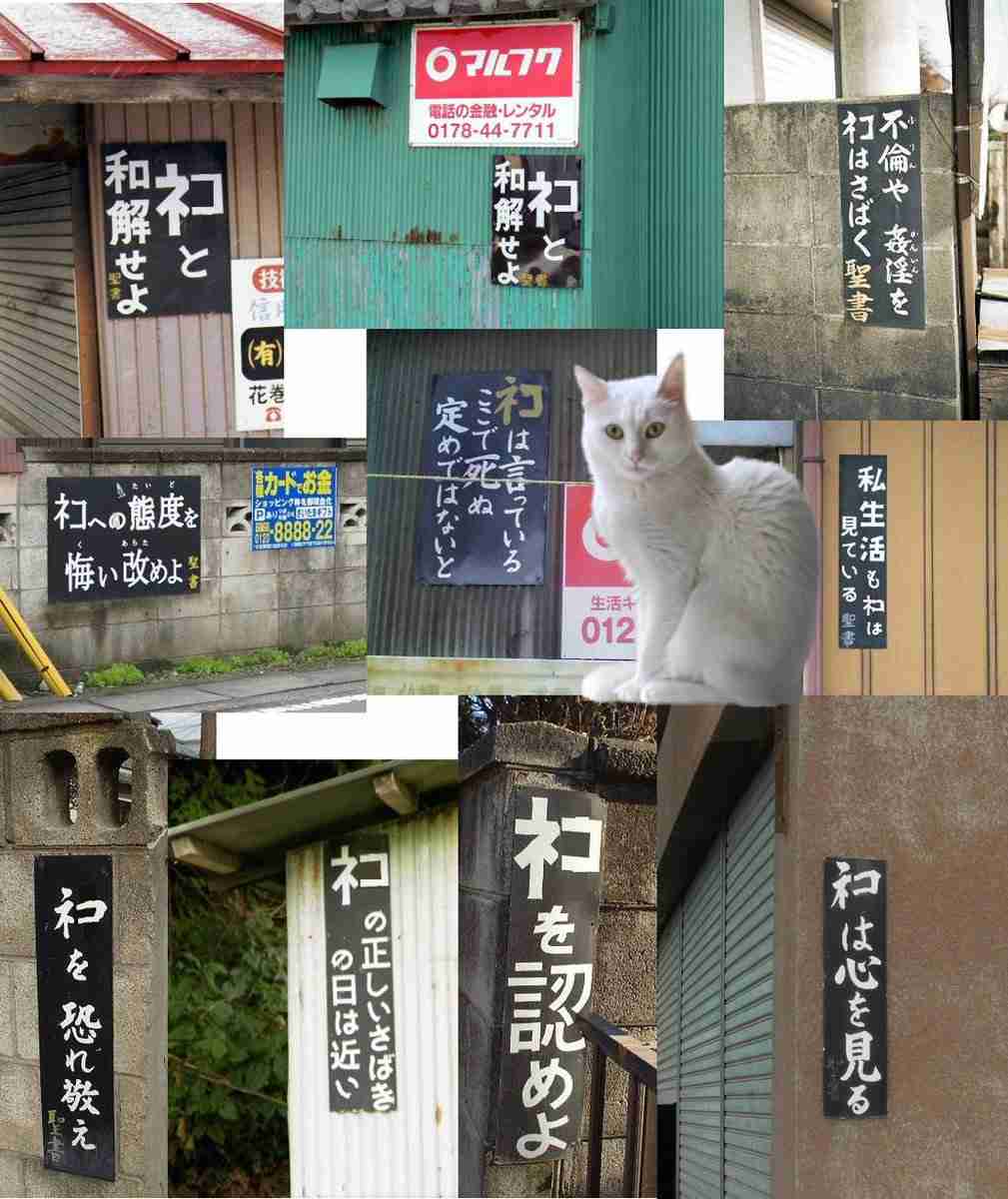 家族で宗教が違う方いますか?