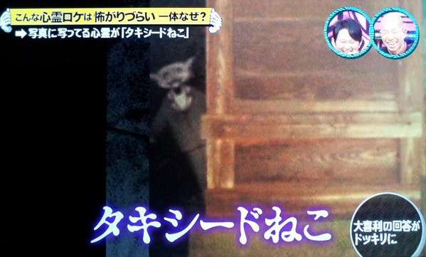 面白かったテレビの企画