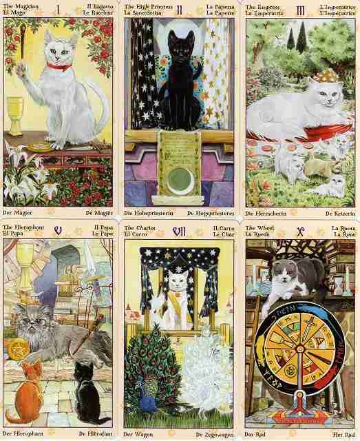 いろいろなタロットカードを見たい✩.*˚