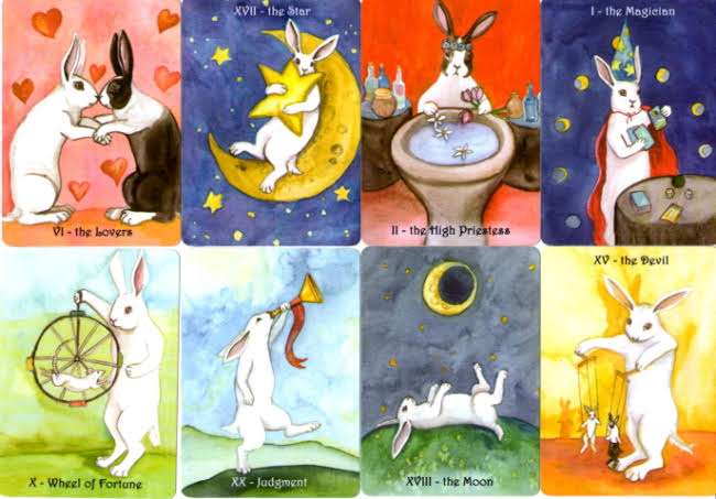 いろいろなタロットカードを見たい✩.*˚