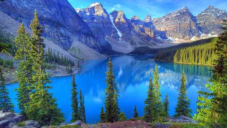 海外旅行に行けるのはいつだと思いますか？