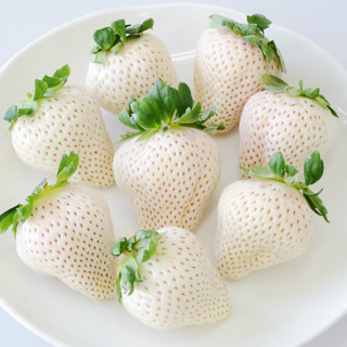 カミソリ負け?ポツポツ毛穴・黒ずみ