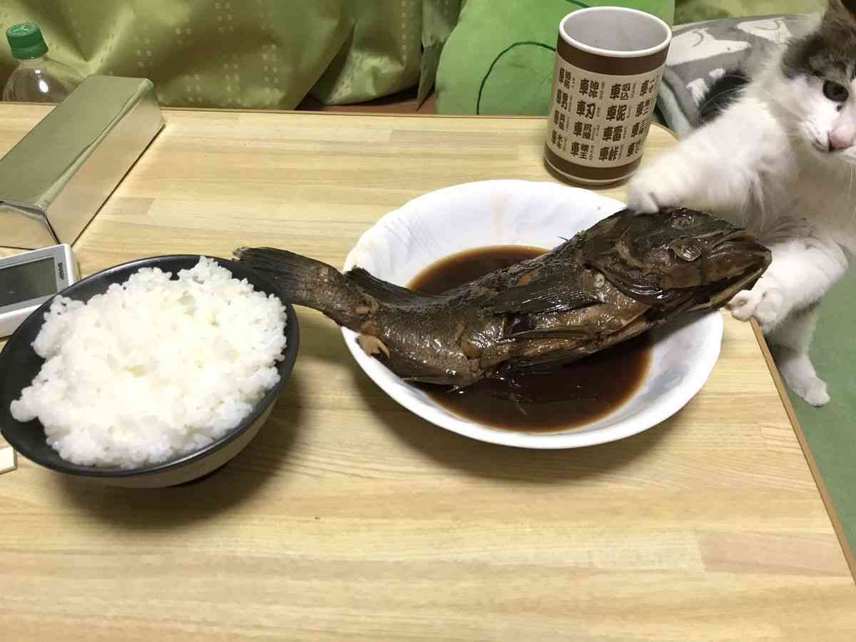 【大喜利】画像で一言