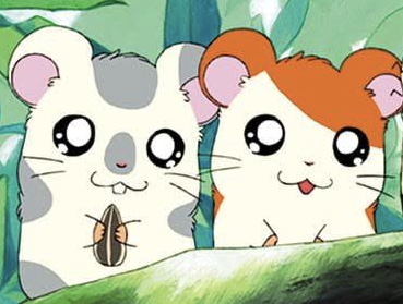 ペットロスの乗り越え方