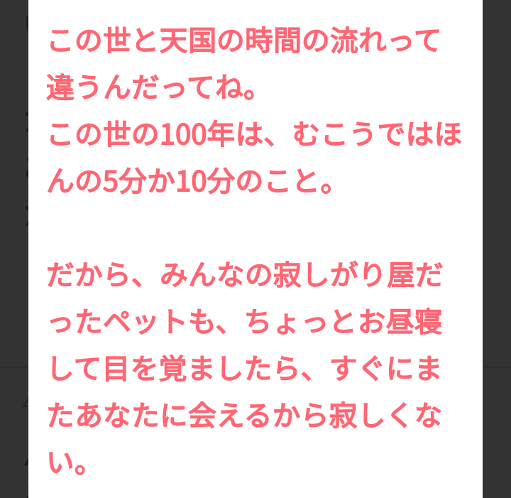 ペットロスの乗り越え方