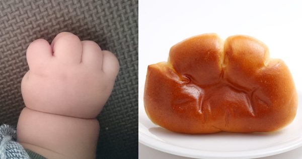 クリームパン好きの人！オススメいいあおう