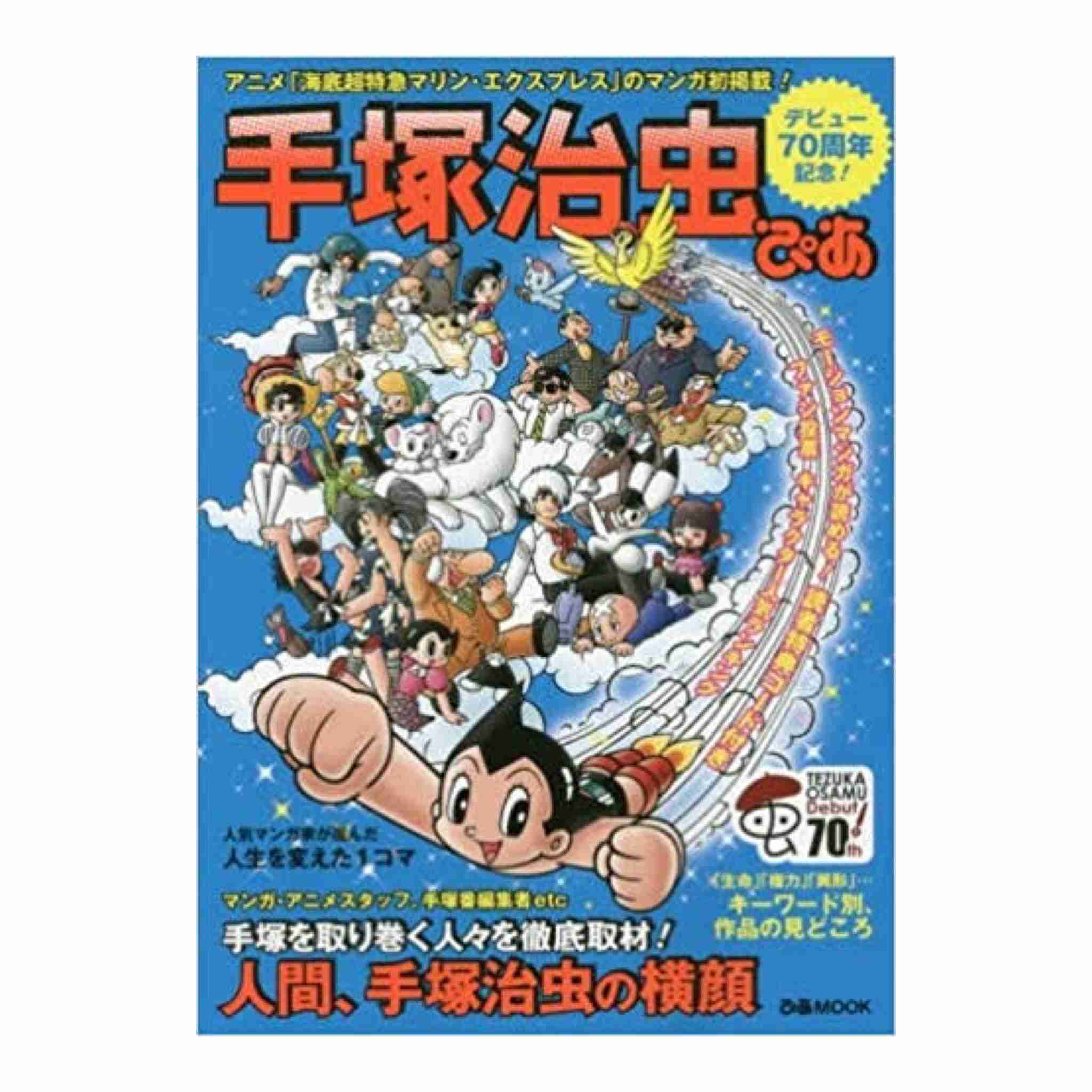 オススメのムック本ありますか？