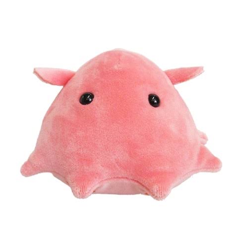 【画像】かわいいぬいぐるみ・人形