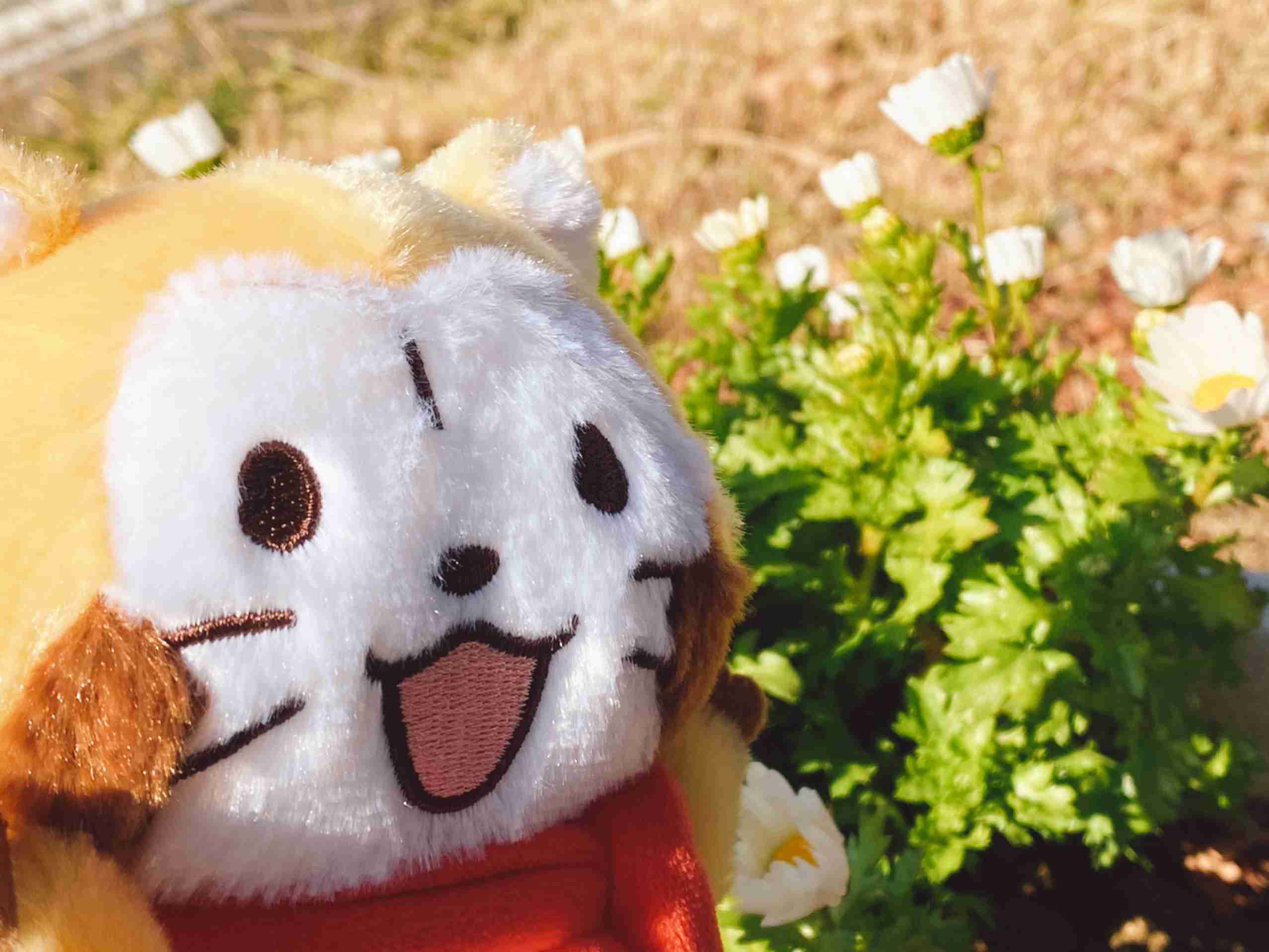 【画像】かわいいぬいぐるみ・人形