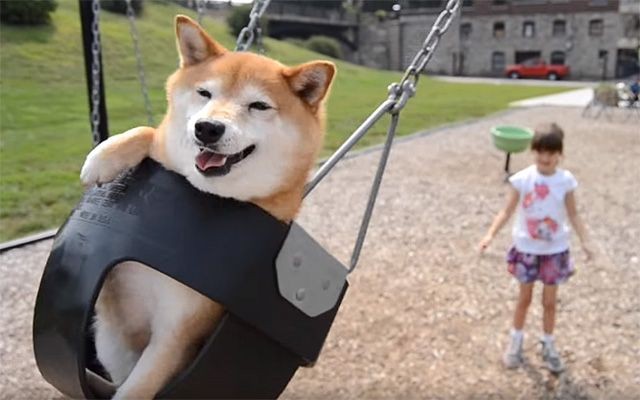 コロナウイルスに疲れた人が立ち寄るトピ Part14