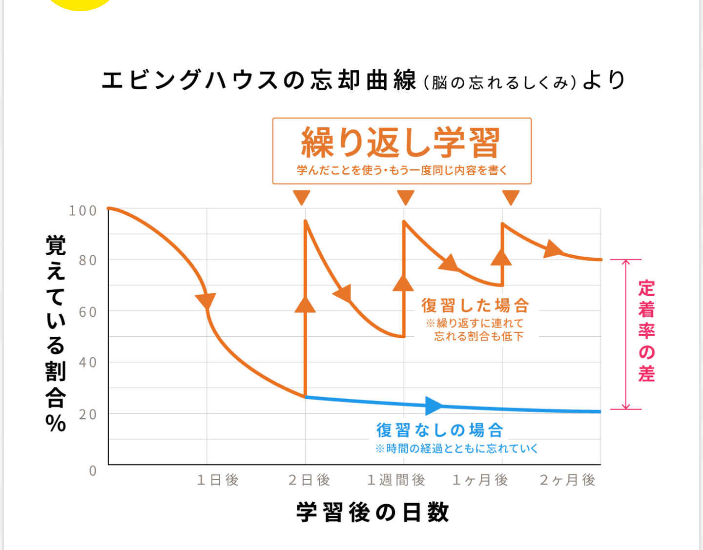 1ヶ月毎日勉強しませんか？