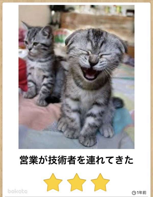 動物の正面顔ください