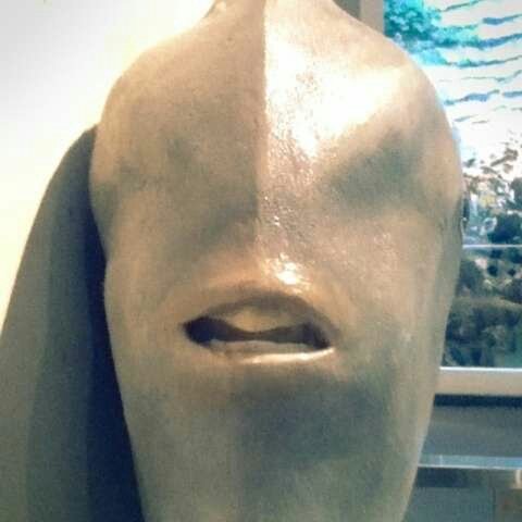 動物の正面顔ください