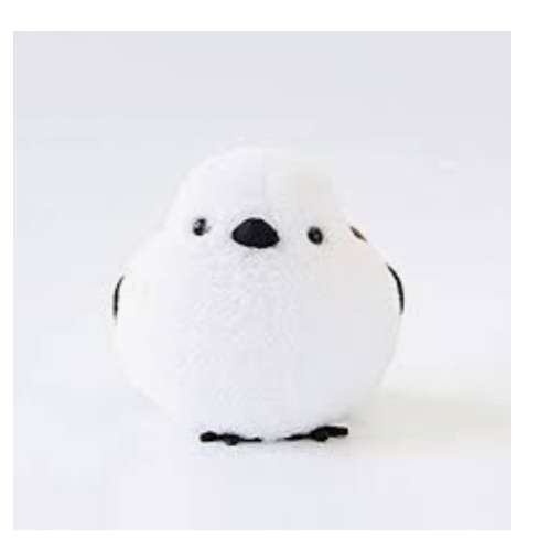 動物の正面顔ください