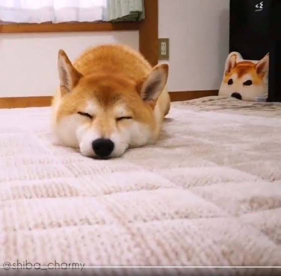 未来の自分にお願いするトピ