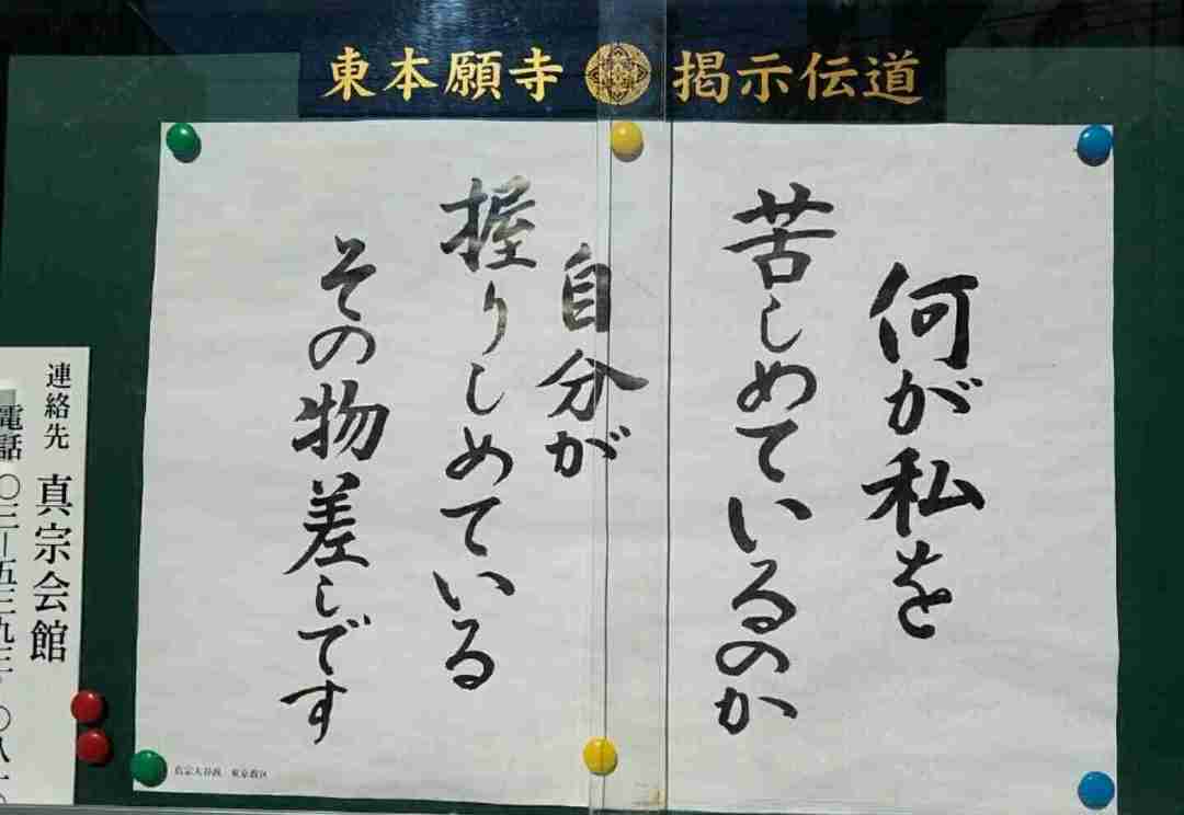 仏教の言葉に救われたことある人