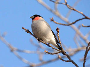 ガル民に教えたい私の役立つ最新情報