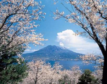 鹿児島県にお住まいの方〜