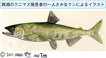 さかなクンを語るトピ ガールズちゃんねる Girls Channel