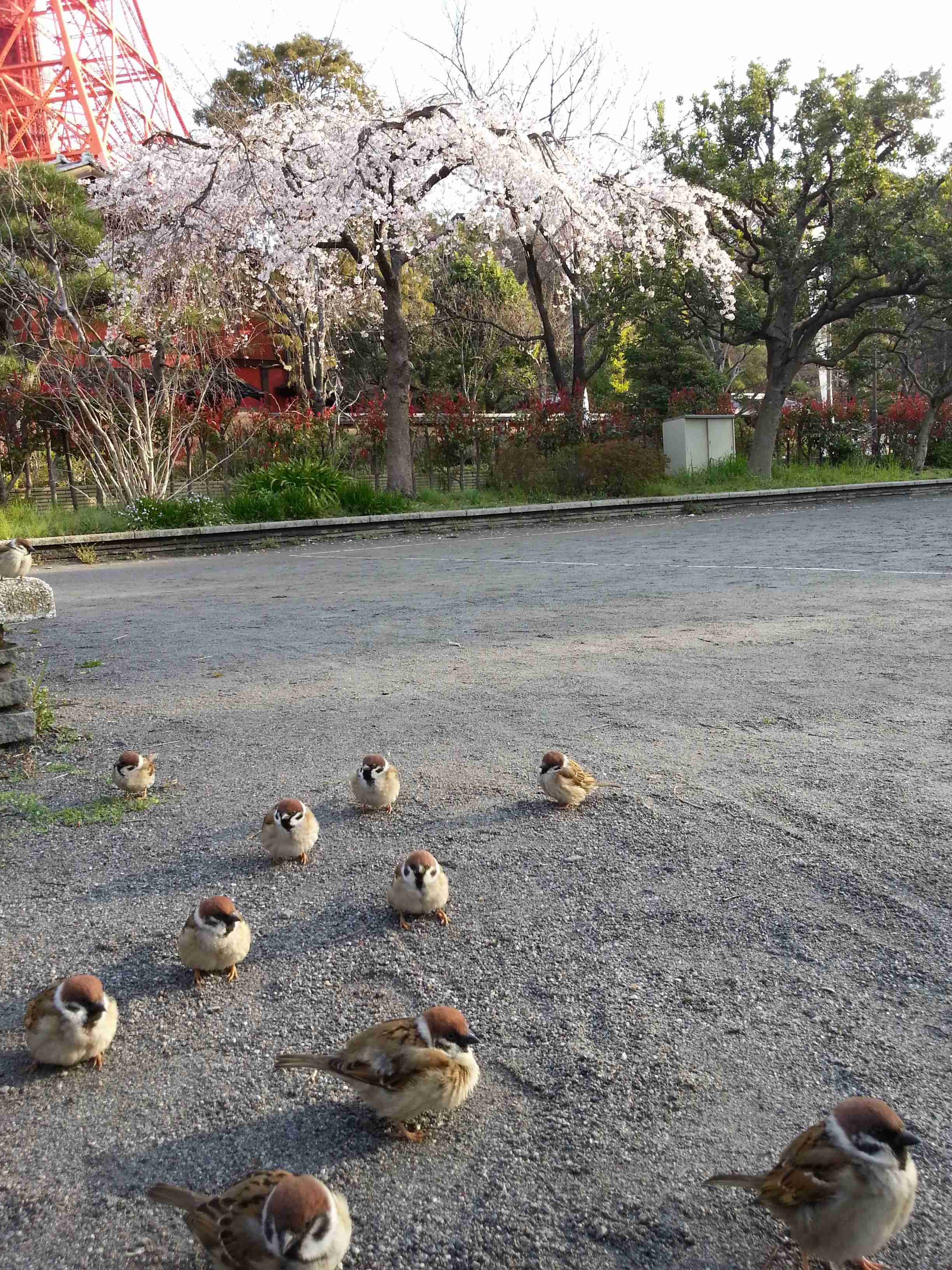 男性との食事が苦手な方