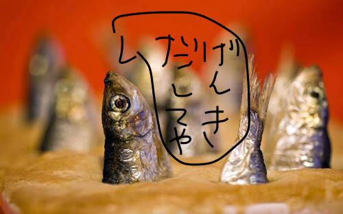 せやかて工藤になりきって近況報告するトピ【part.15】