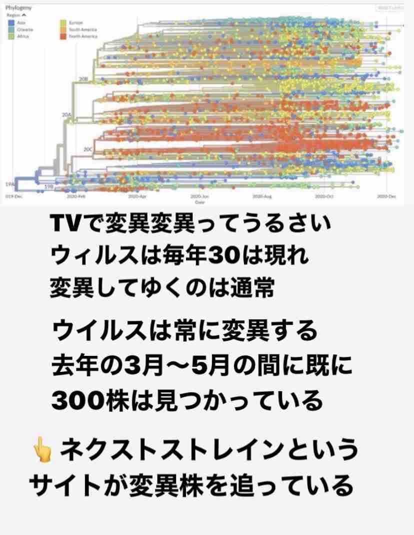 ワクチン接種の看護師、感染確認…12日に接種・17日に陽性