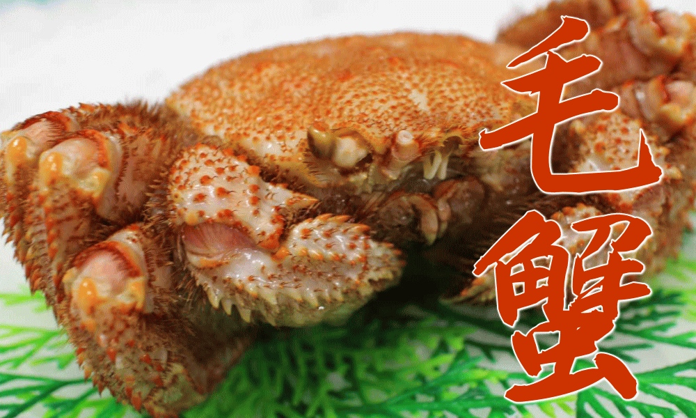 集まれ！シーフード愛好家🦐