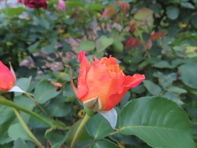 語尾に…をつけてゆるく会話するトピpart3