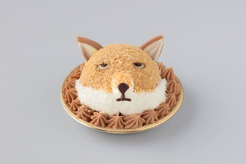 昭和の味「たぬきケーキ」人気再燃、SNS追い風に　各地でファン“捕獲”