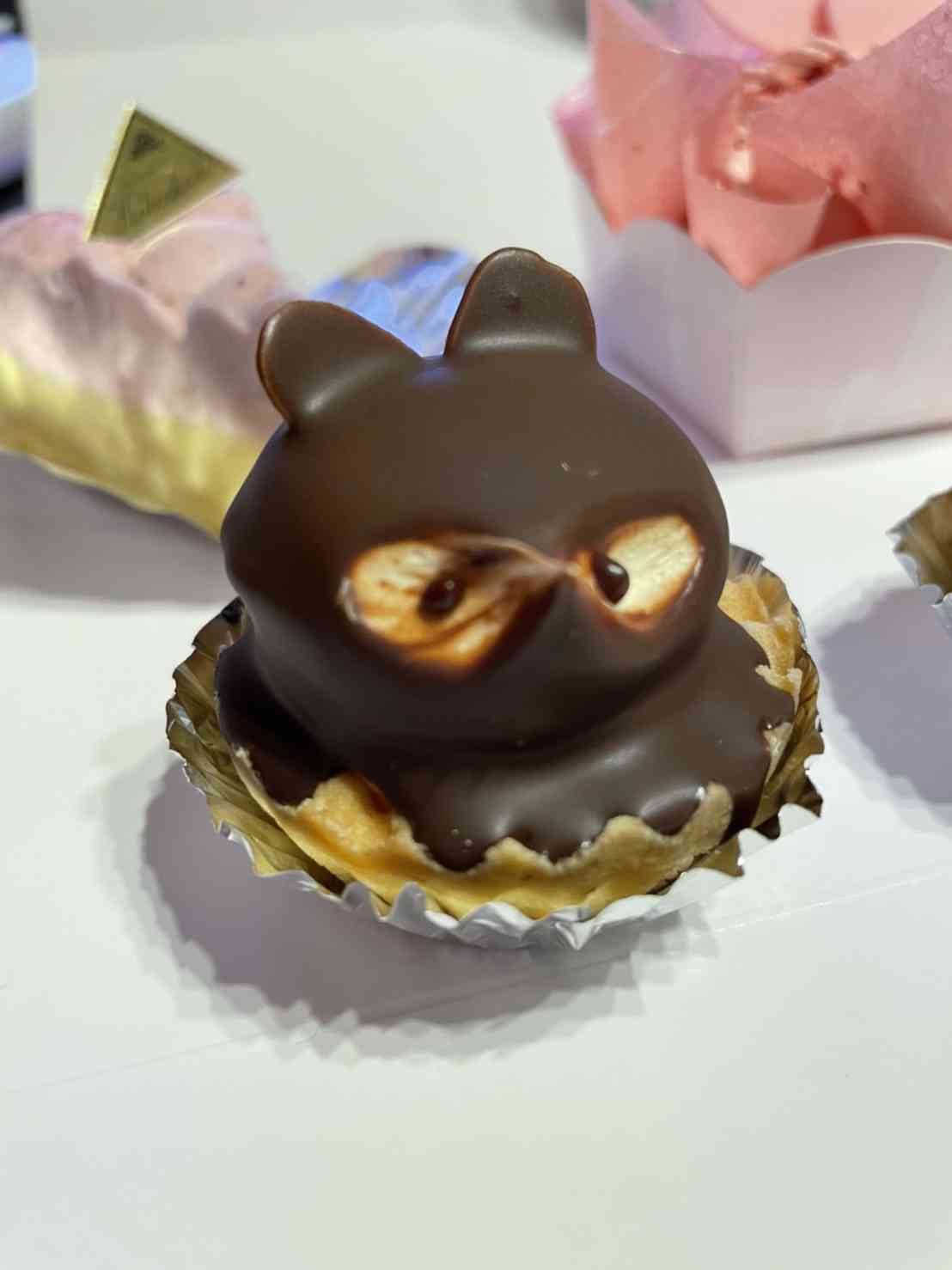 昭和の味「たぬきケーキ」人気再燃、SNS追い風に　各地でファン“捕獲”
