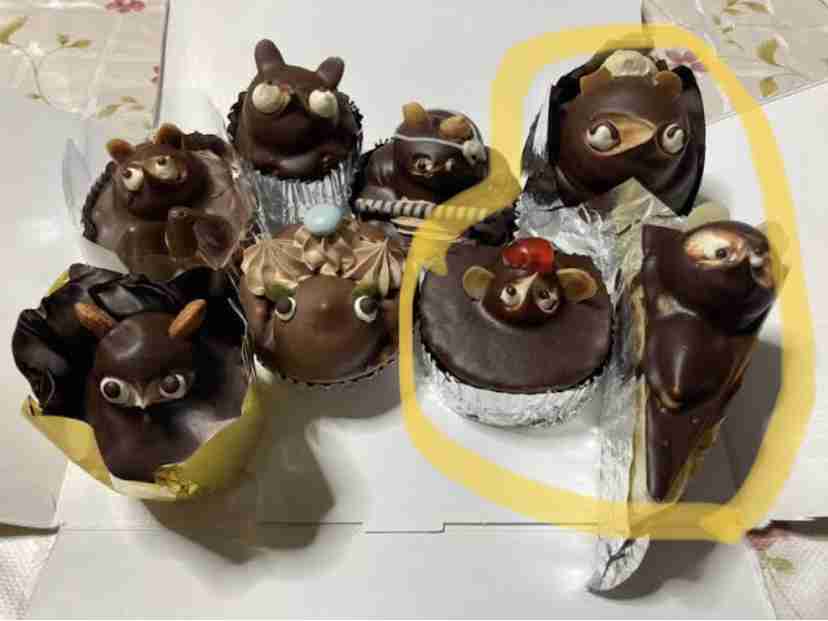 昭和の味「たぬきケーキ」人気再燃、SNS追い風に　各地でファン“捕獲”