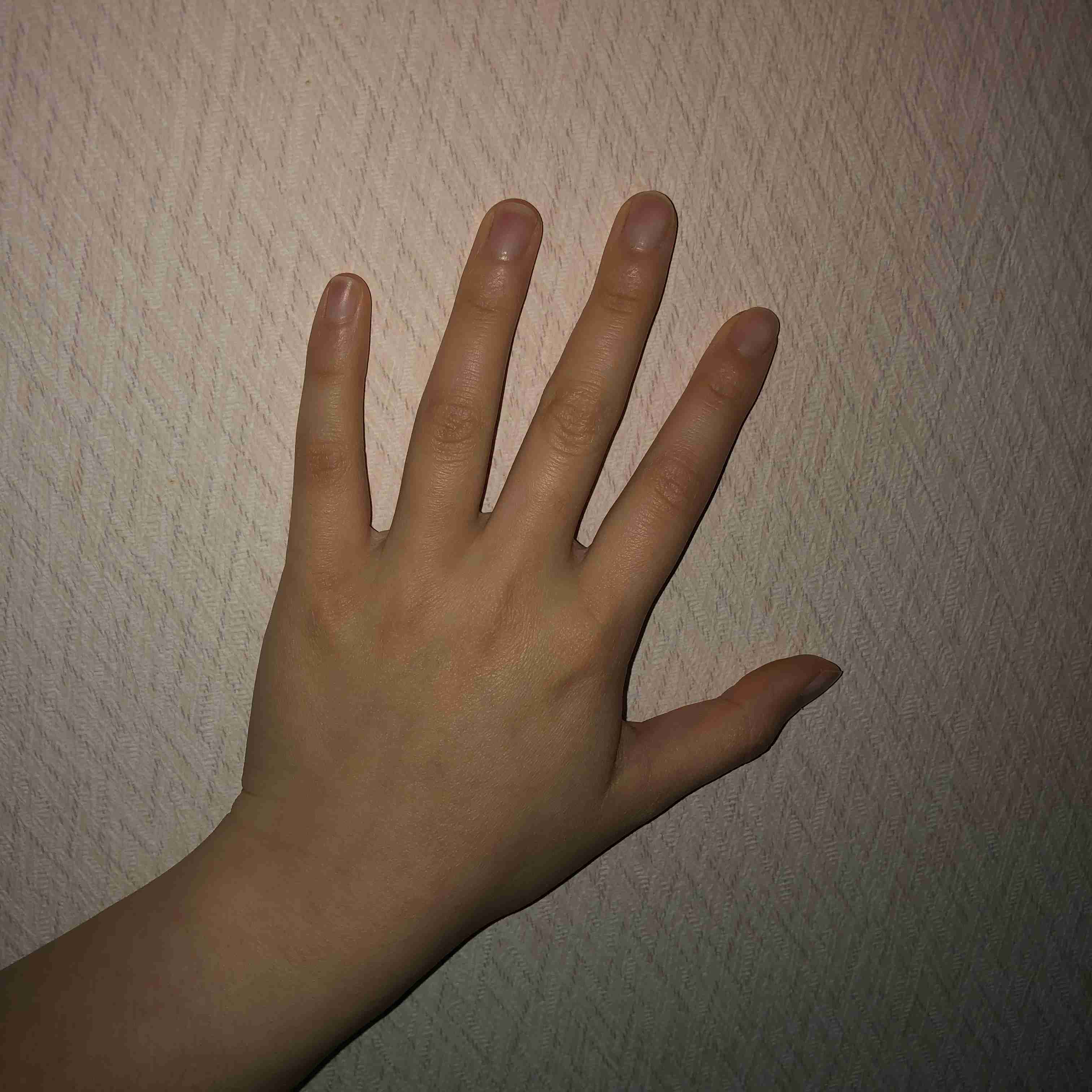 デブがデブに質問したいこと