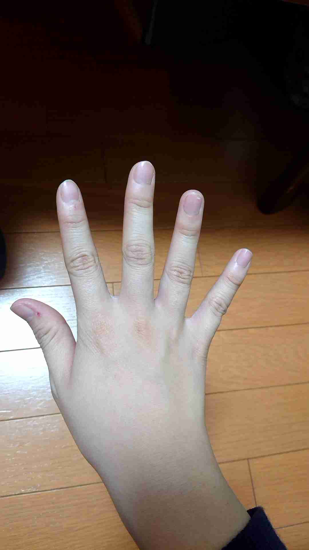 デブがデブに質問したいこと