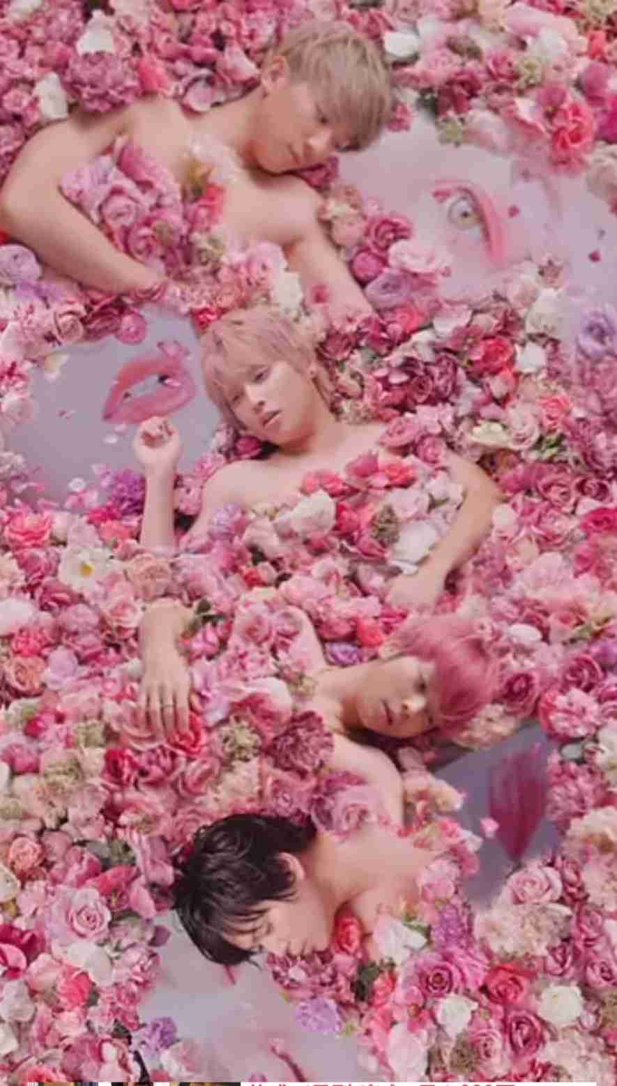 【画像】花と男性有名人