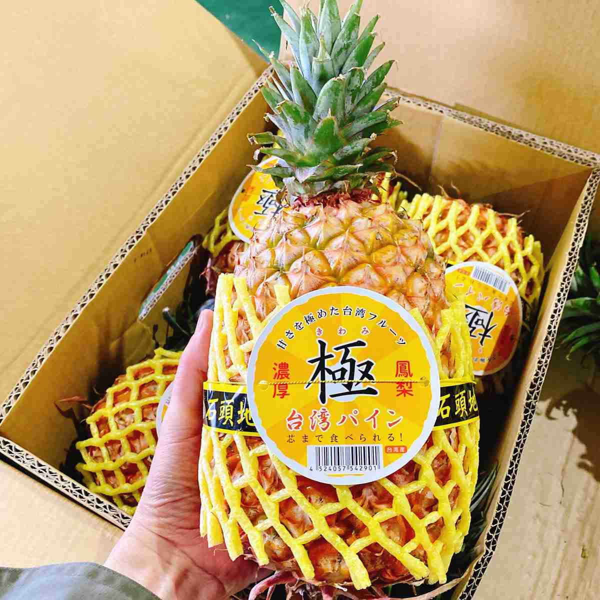 台湾パイナップル、日本への輸出に期待 中国の禁輸受け