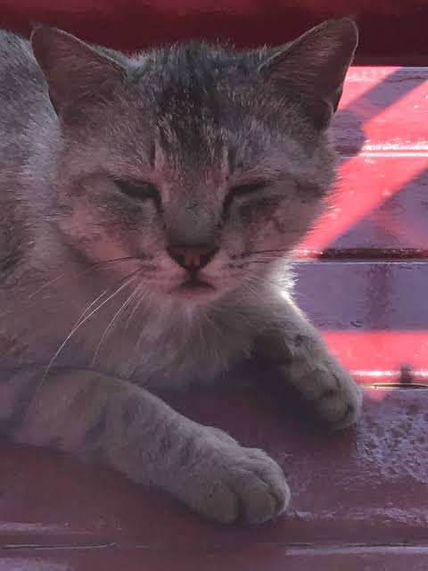 普通にしているのにやる気がないと言われる人 ガールズちゃんねる Girls Channel