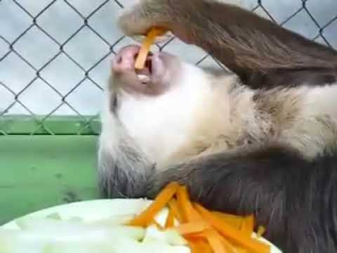 普通にしているのにやる気がないと言われる人 ガールズちゃんねる Girls Channel