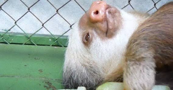 普通にしているのにやる気がないと言われる人 ガールズちゃんねる Girls Channel