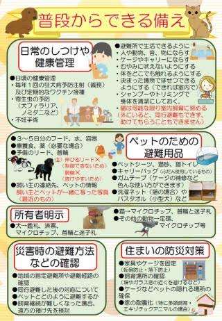 東日本大震災から10年…今見直したい対策と役立つ知識まとめ