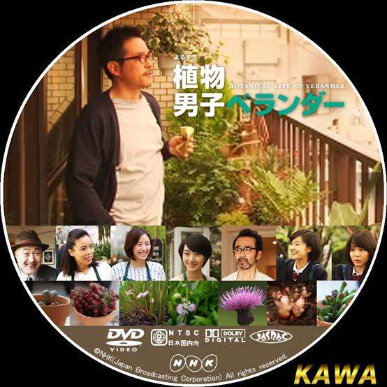 ぼんやり見れるドラマや映画