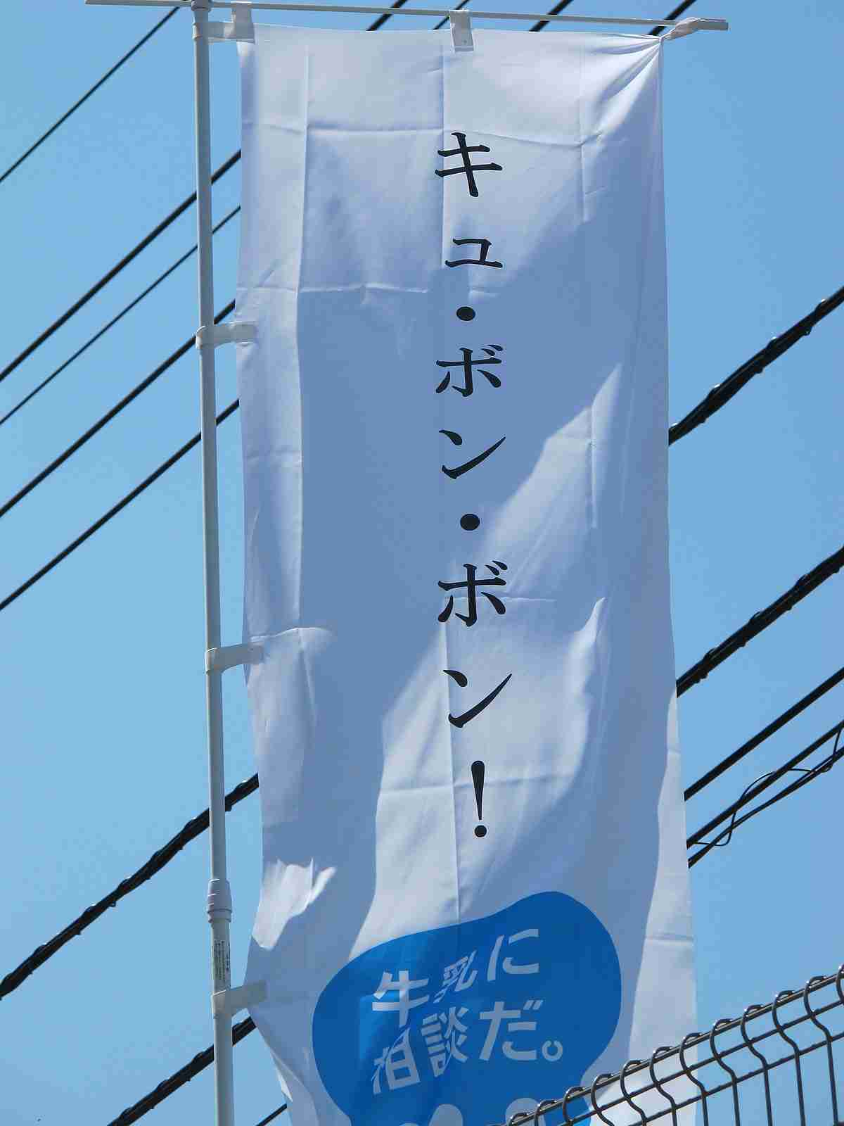 【美容】【腸活】乳製品オフしてる人