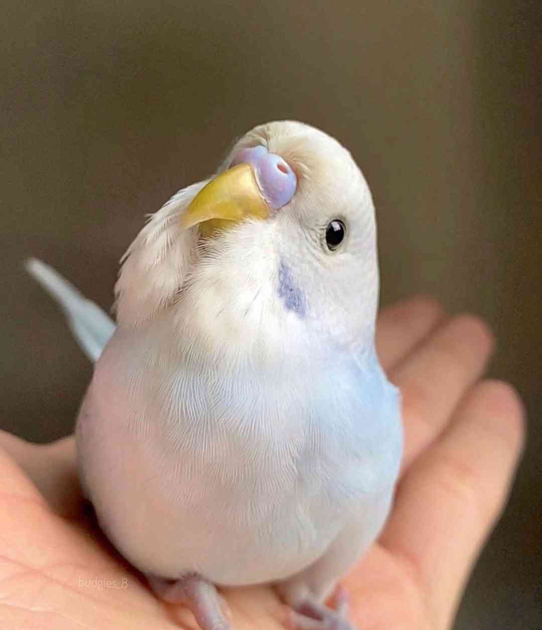 テーマパーク苦手な人