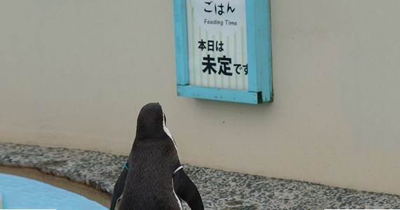 テーマパーク苦手な人