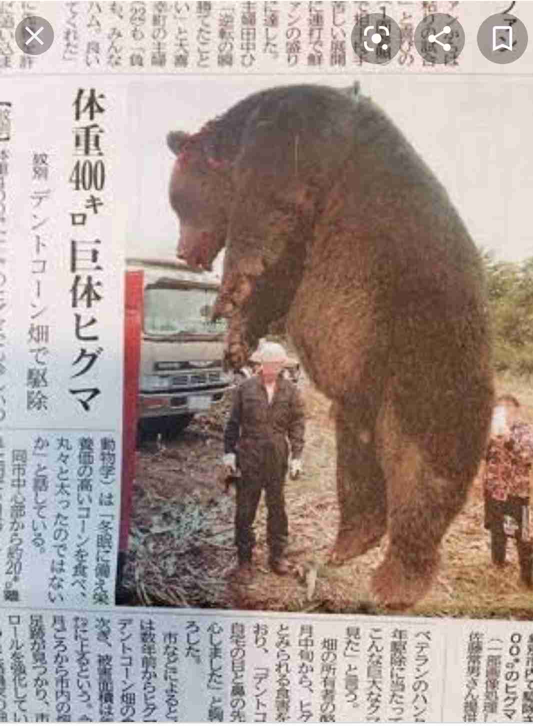 餌やりで駆除されるヒグマの悲劇 財団職員が訴え「死ぬ理由をつくったことをわかって」 国立公園などでの野生動物への餌やり厳罰化