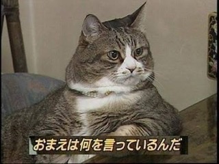 福原愛さん、台湾に住む母の帰国発表　夫との関係は「子供にとって何が一番か話し合っている」