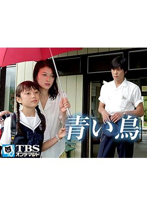 そういえば、こんなドラマあったな～と思わせた人が優勝