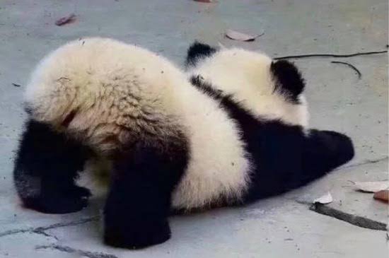 自分の好きなものだったらプラス