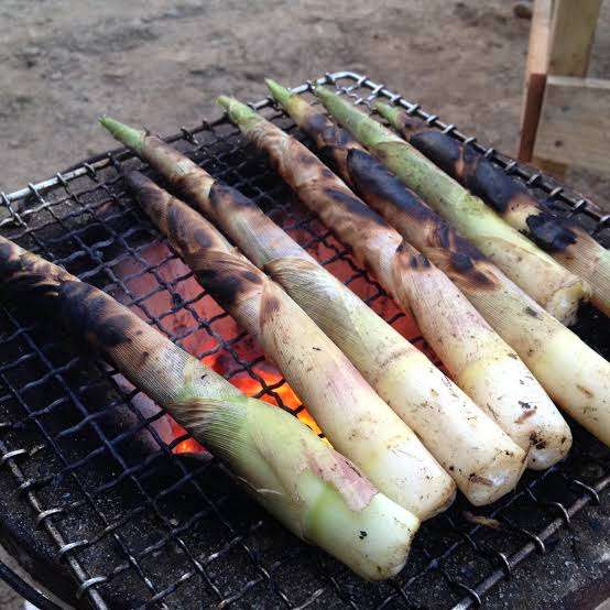 自分の好きなものだったらプラス