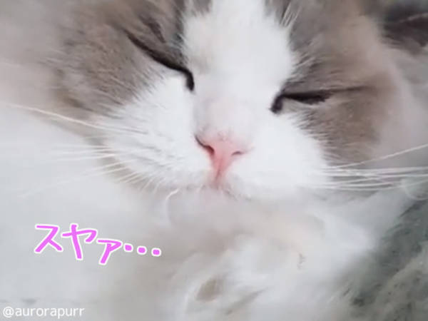 一人っ子のお子さんの性格など